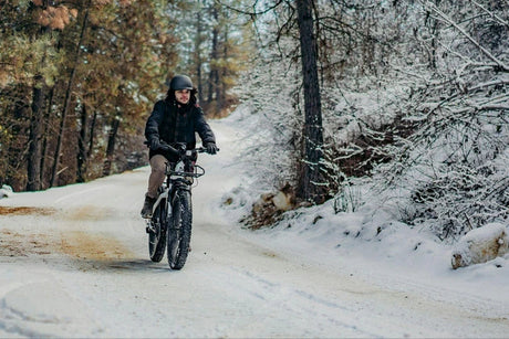 Prisvärd elcykel för svenska vägar – vilka egenskaper är värda att betala för