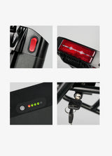Engine Pro Batteri