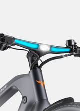 ENGWE N1 Pro