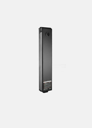 P20 Batteri